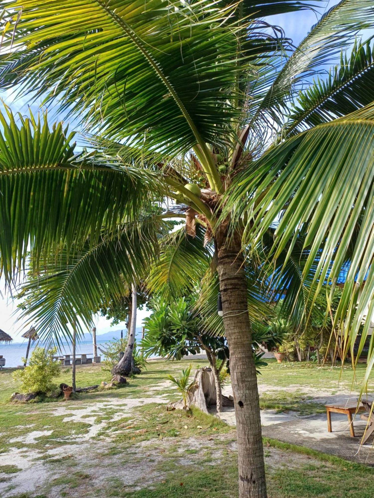 Tropicana Khophagan Resort Hotel Thong Sala Esterno foto